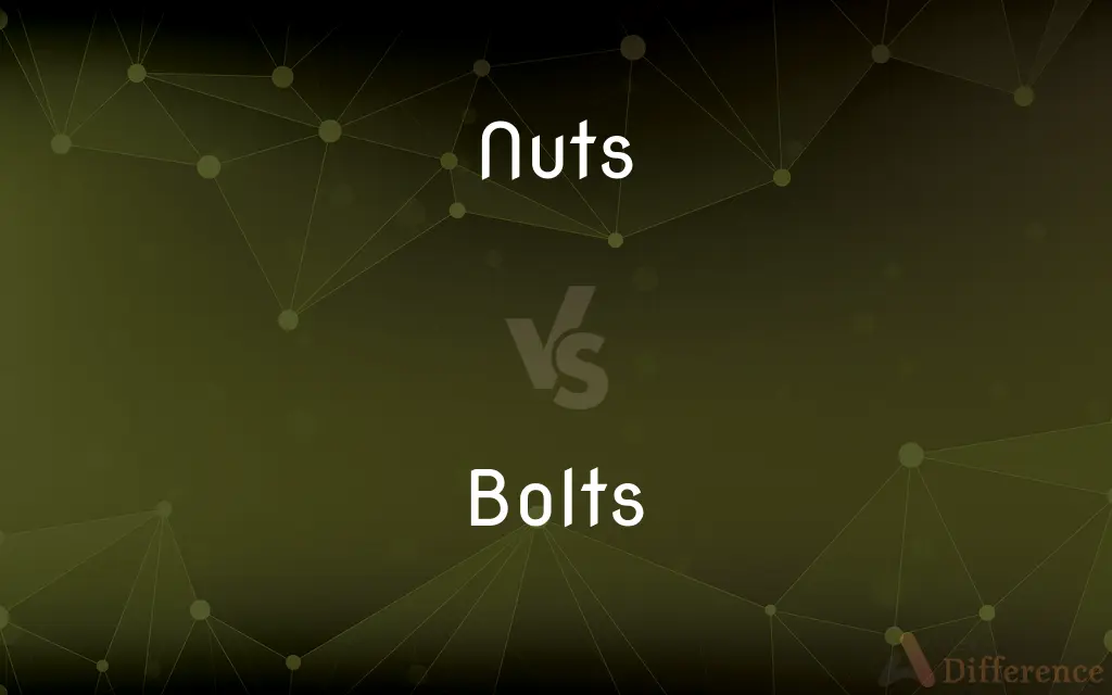 Nuts vs. Bolts — What's the Difference?