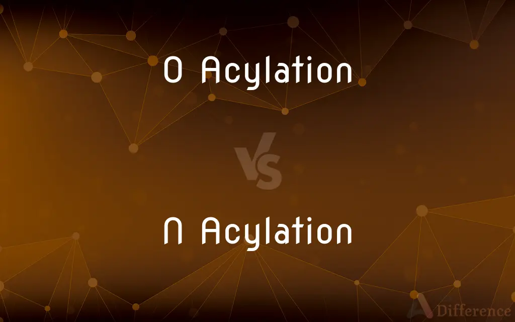 O Acylation vs. N Acylation — What's the Difference?