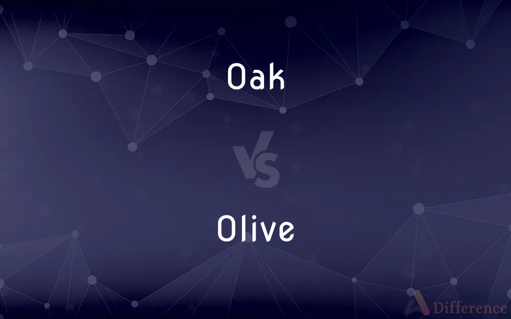 Oak vs. Olive — What's the Difference?