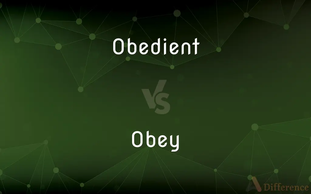 Obedient vs. Obey — What's the Difference?