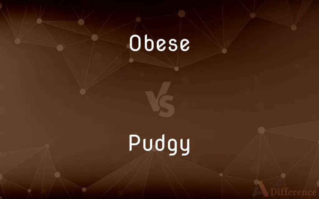 Obese vs. Pudgy — What's the Difference?