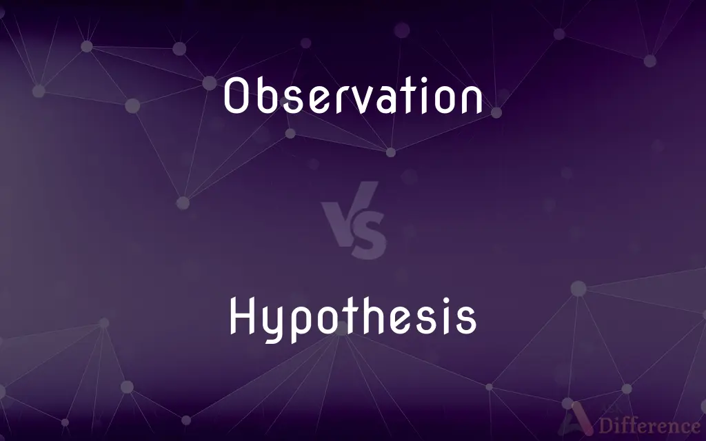 Observation vs. Hypothesis — What's the Difference?