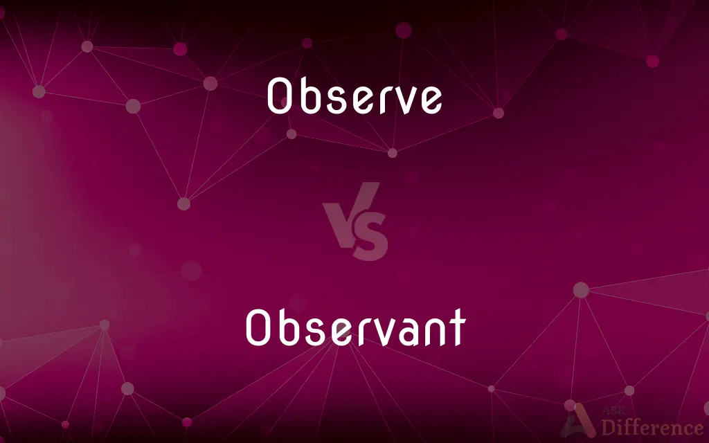 Observe vs. Observant — What's the Difference?