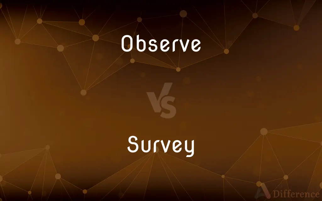 Observe vs. Survey — What's the Difference?