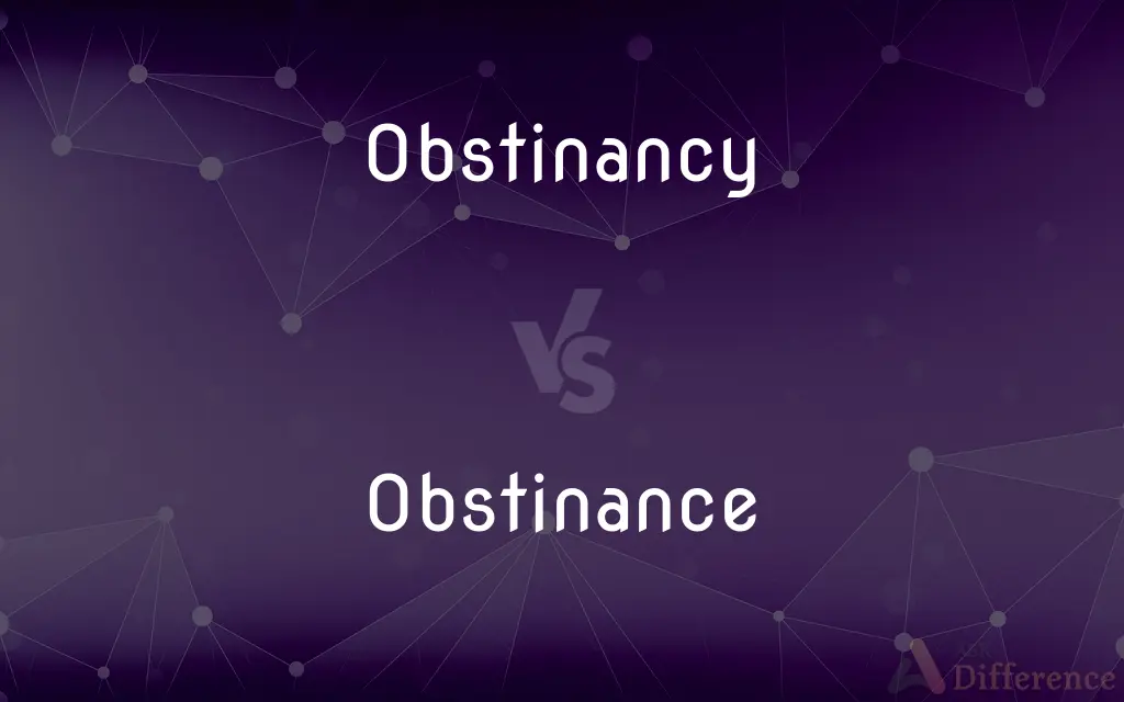 Obstinancy vs. Obstinance — What's the Difference?