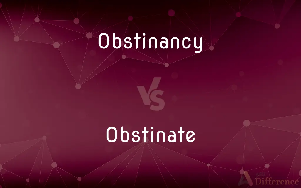 Obstinancy vs. Obstinate — What's the Difference?