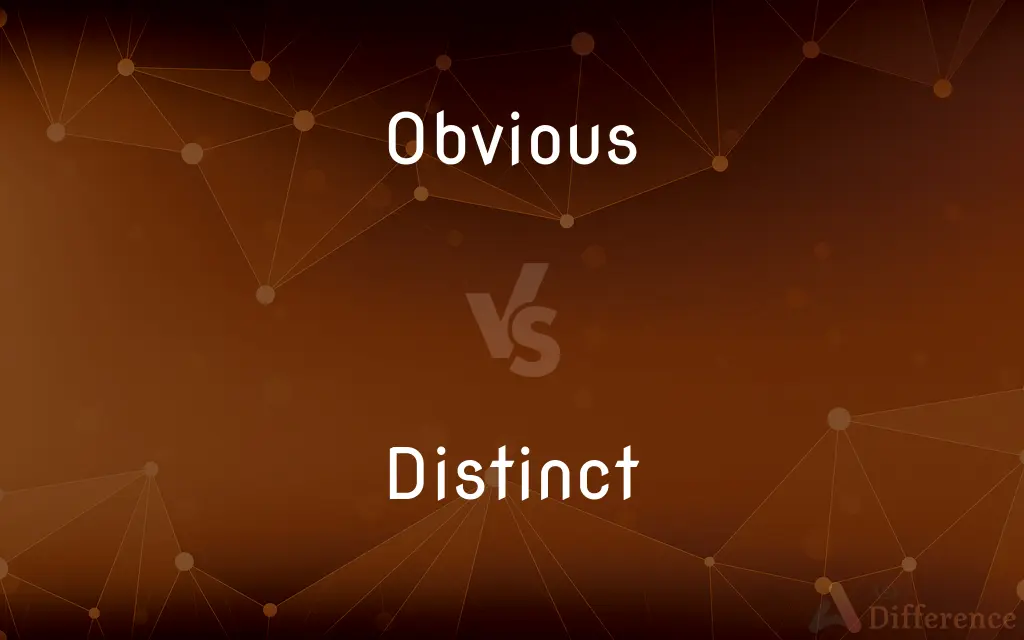 Obvious vs. Distinct — What's the Difference?
