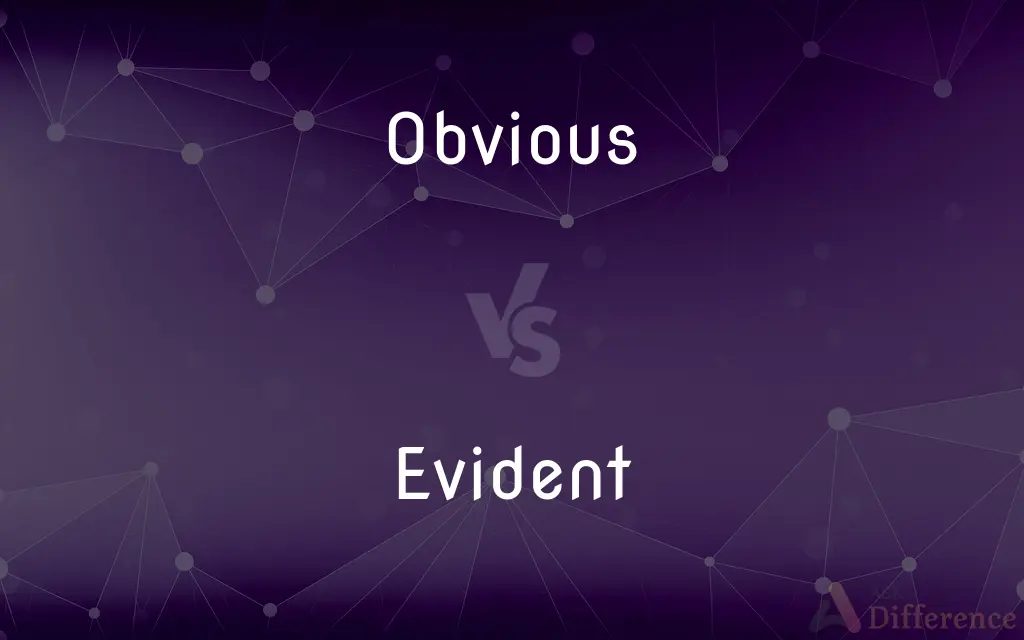 Obvious vs. Evident — What's the Difference?