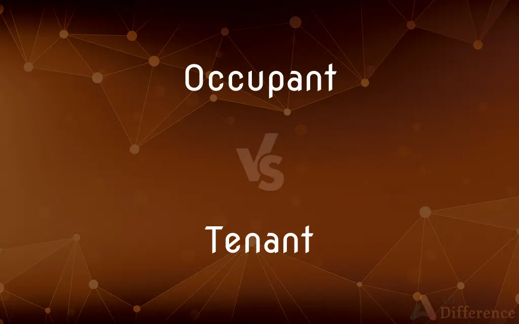Occupant vs. Tenant — What's the Difference?
