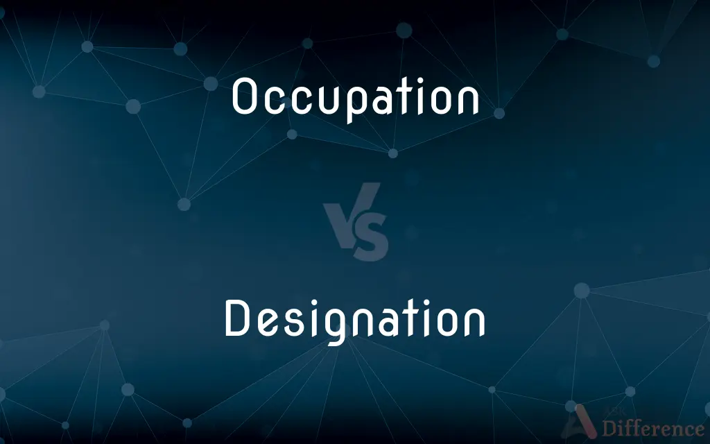 Occupation vs. Designation — What's the Difference?