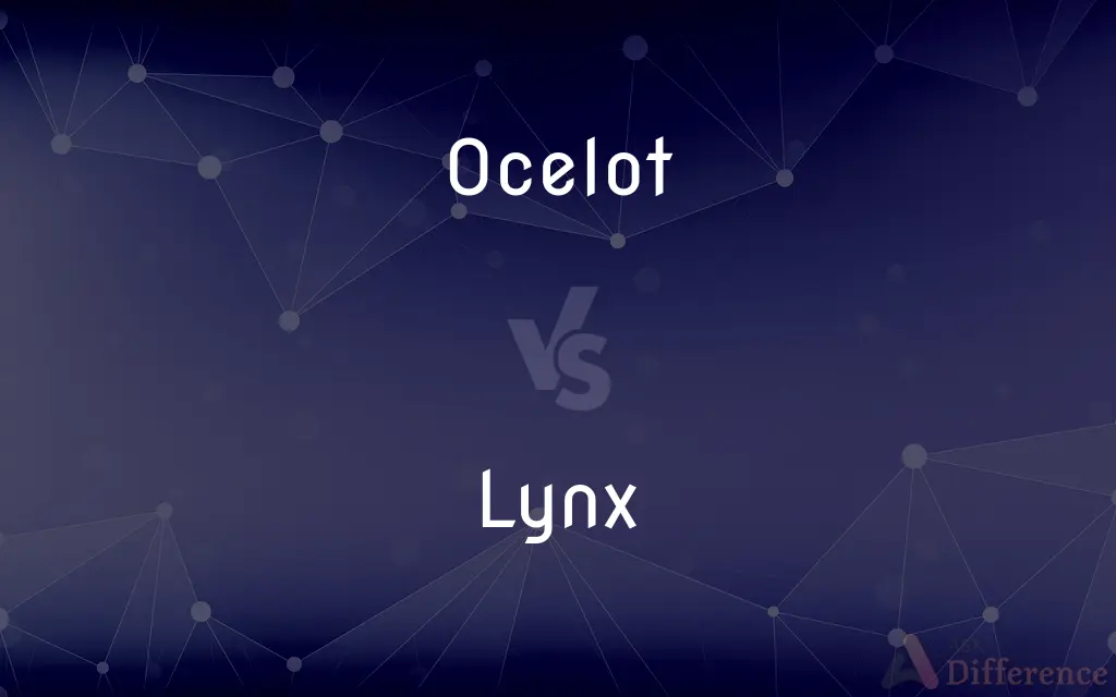 Ocelot vs. Lynx — What's the Difference?