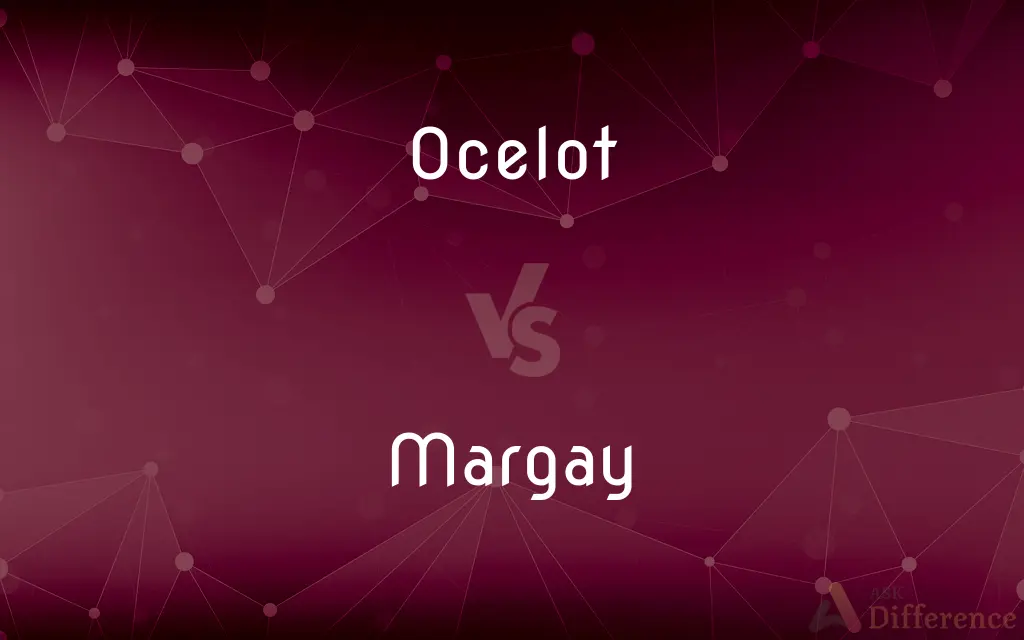 Ocelot vs. Margay — What's the Difference?