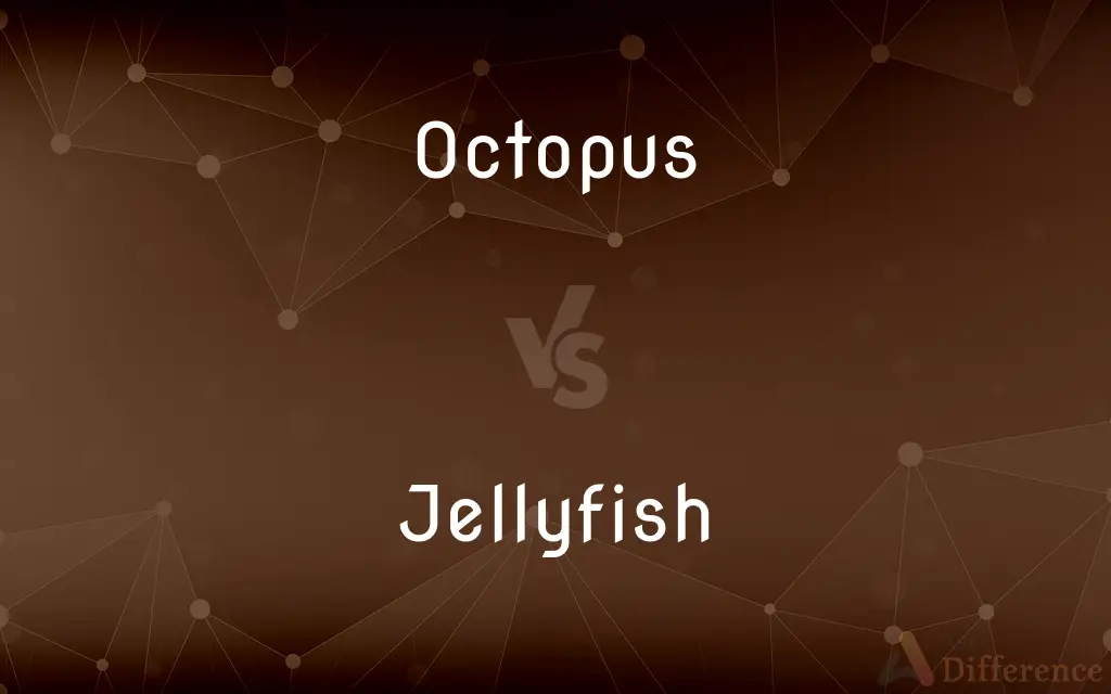 Octopus vs. Jellyfish — What's the Difference?