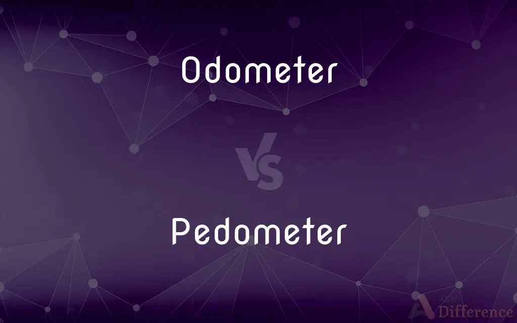Odometer vs. Pedometer — What's the Difference?