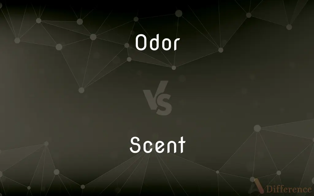 Odor vs. Scent — What's the Difference?