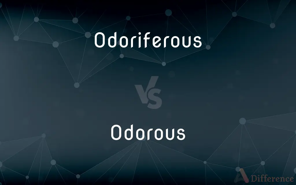 Odoriferous vs. Odorous — What's the Difference?
