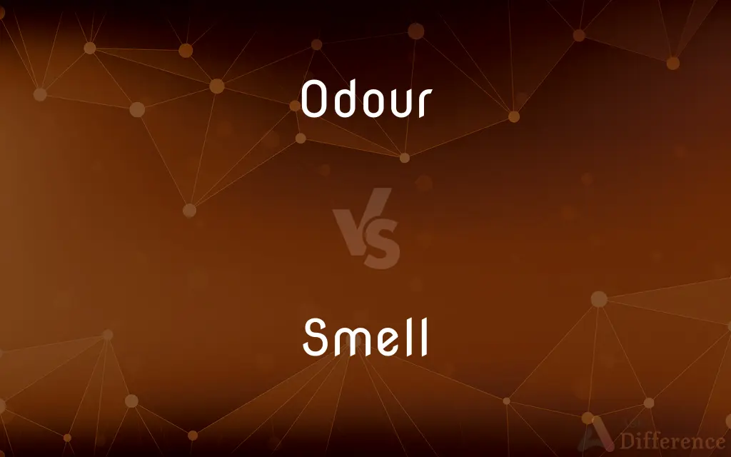 Odour vs. Smell — What's the Difference?