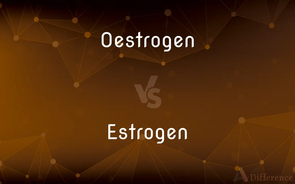Oestrogen vs. Estrogen — What's the Difference?