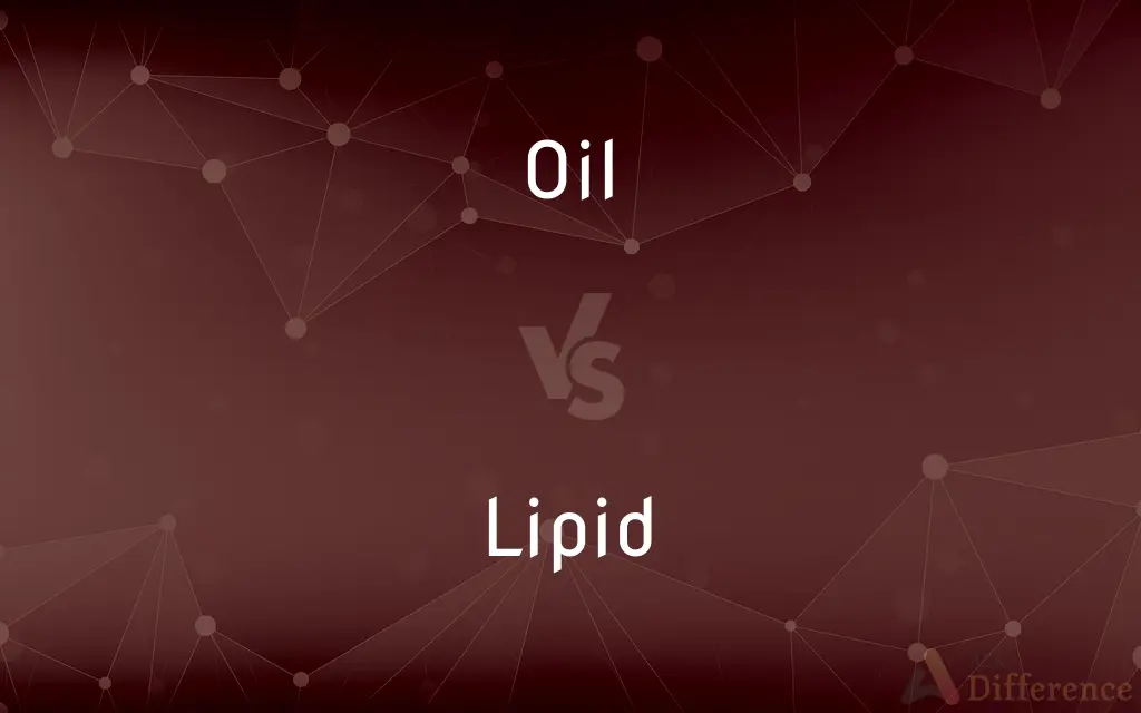 Oil vs. Lipid — What's the Difference?