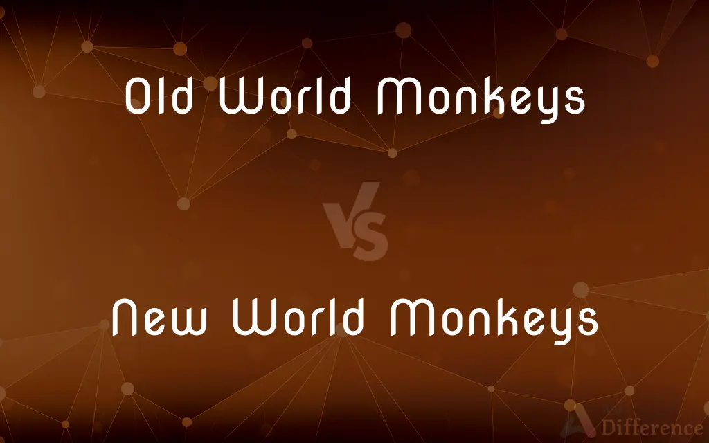 Old World Monkeys vs. New World Monkeys — What's the Difference?