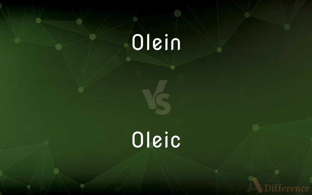 Olein vs. Oleic — Which is Correct Spelling?