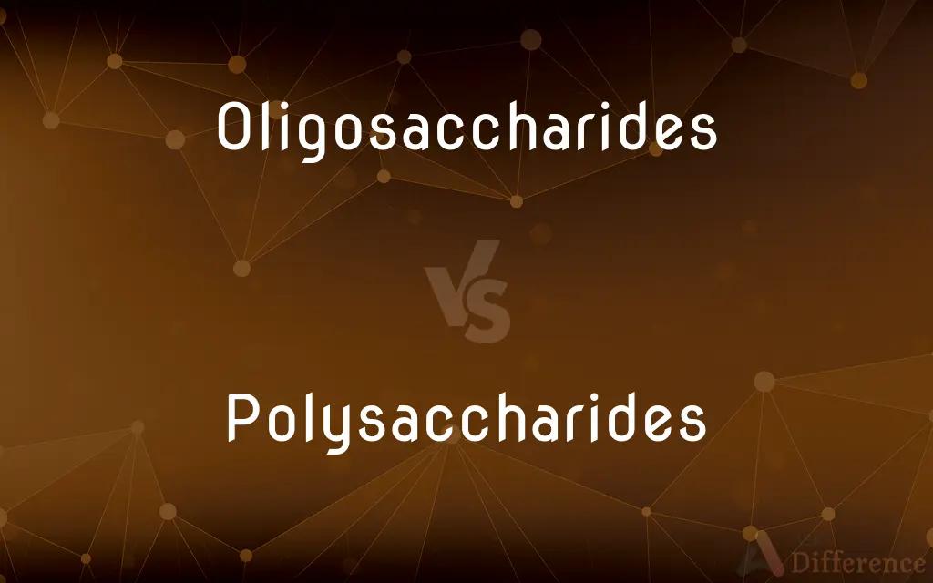 Oligosaccharides vs. Polysaccharides — What's the Difference?