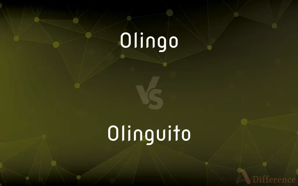 Olingo vs. Olinguito — What's the Difference?