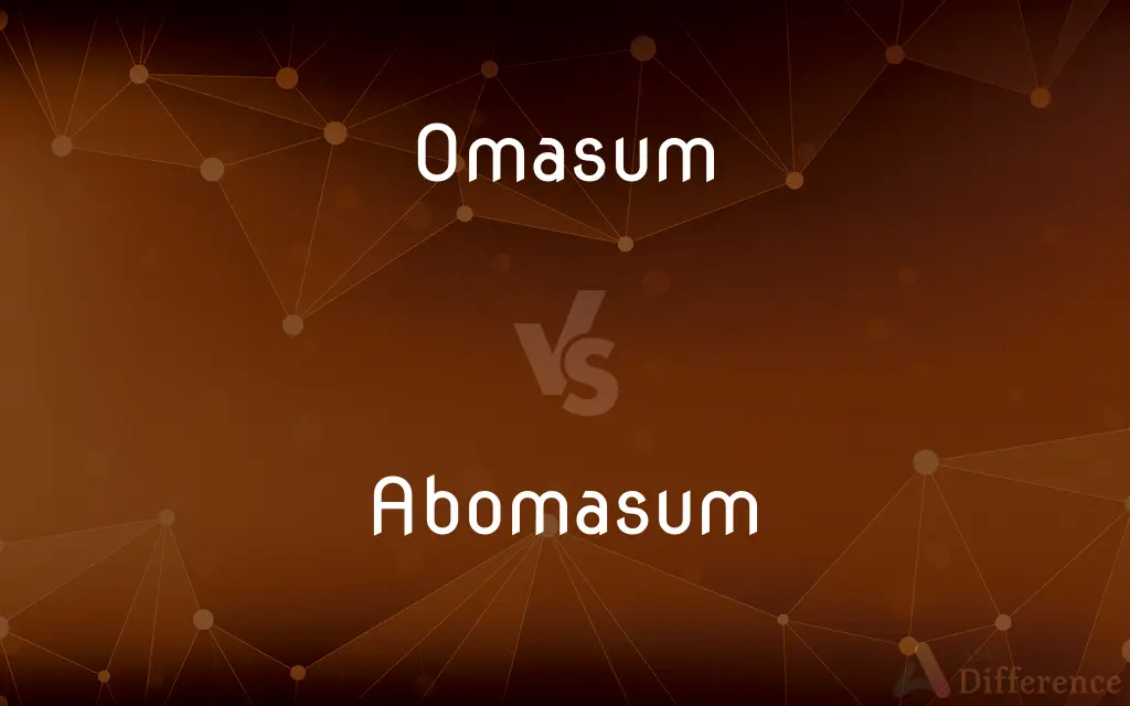 Omasum vs. Abomasum — What's the Difference?
