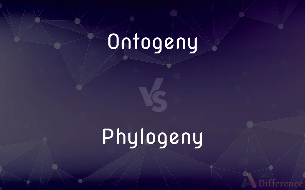 Ontogeny vs. Phylogeny — What's the Difference?