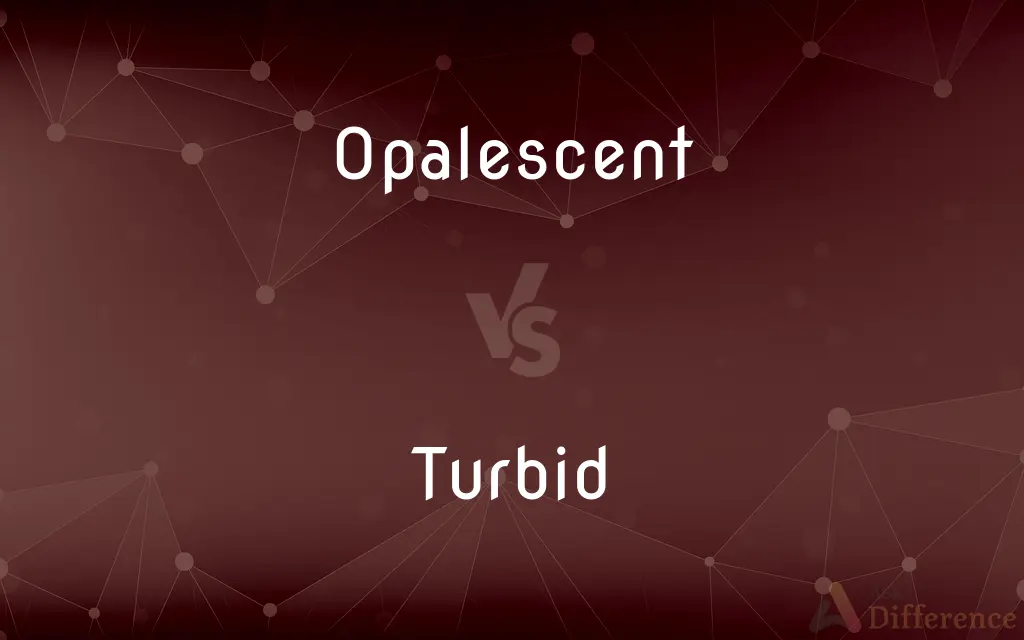 Opalescent vs. Turbid — What's the Difference?