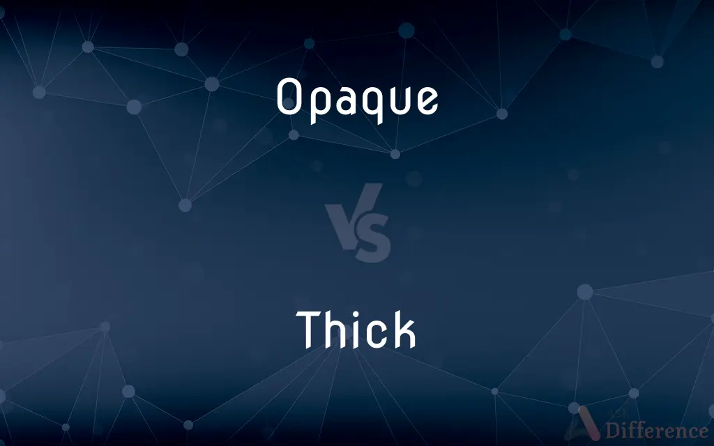 Opaque vs. Thick — What's the Difference?