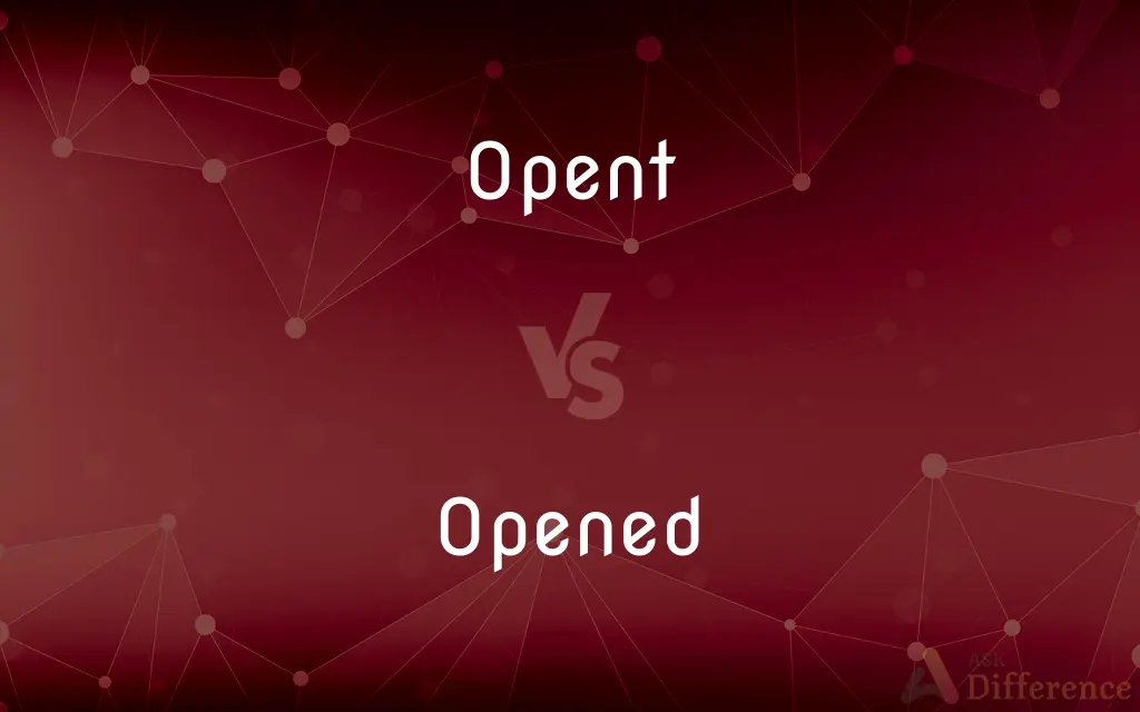 Opent vs. Opened — Which is Correct Spelling?