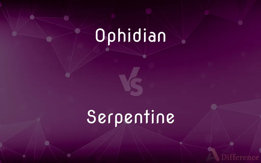 Ophidian vs. Serpentine — What's the Difference?