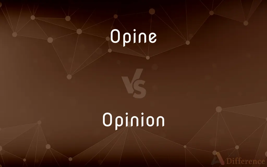 Opine vs. Opinion — What's the Difference?