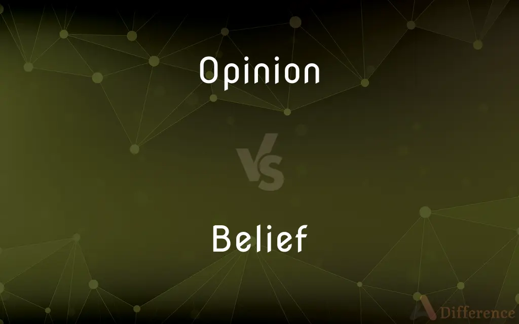 Opinion vs. Belief — What's the Difference?