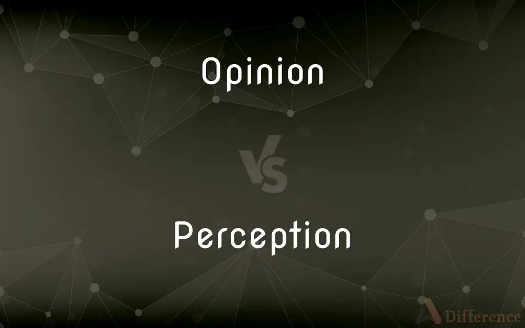 Opinion vs. Perception — What's the Difference?