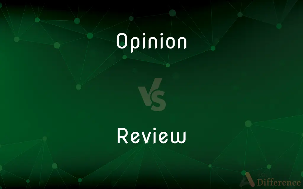 Opinion vs. Review — What's the Difference?