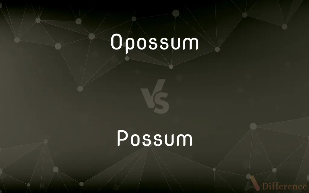 Opossum vs. Possum — What's the Difference?