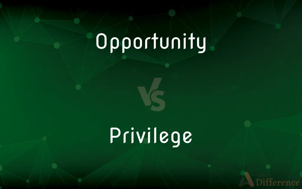 Opportunity vs. Privilege — What's the Difference?