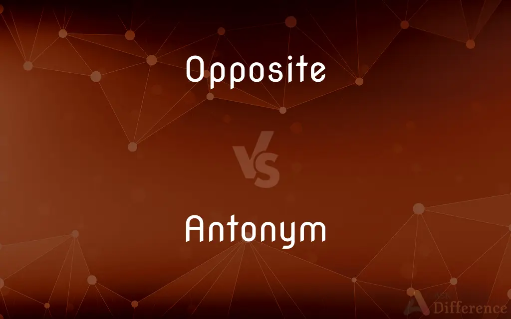 Opposite vs. Antonym — What's the Difference?
