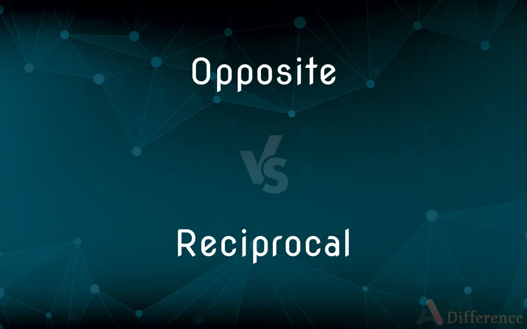 Opposite vs. Reciprocal — What's the Difference?