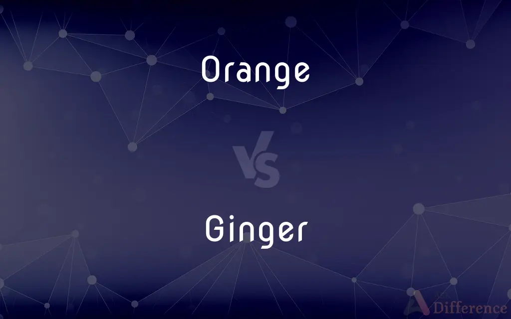 Orange vs. Ginger — What's the Difference?