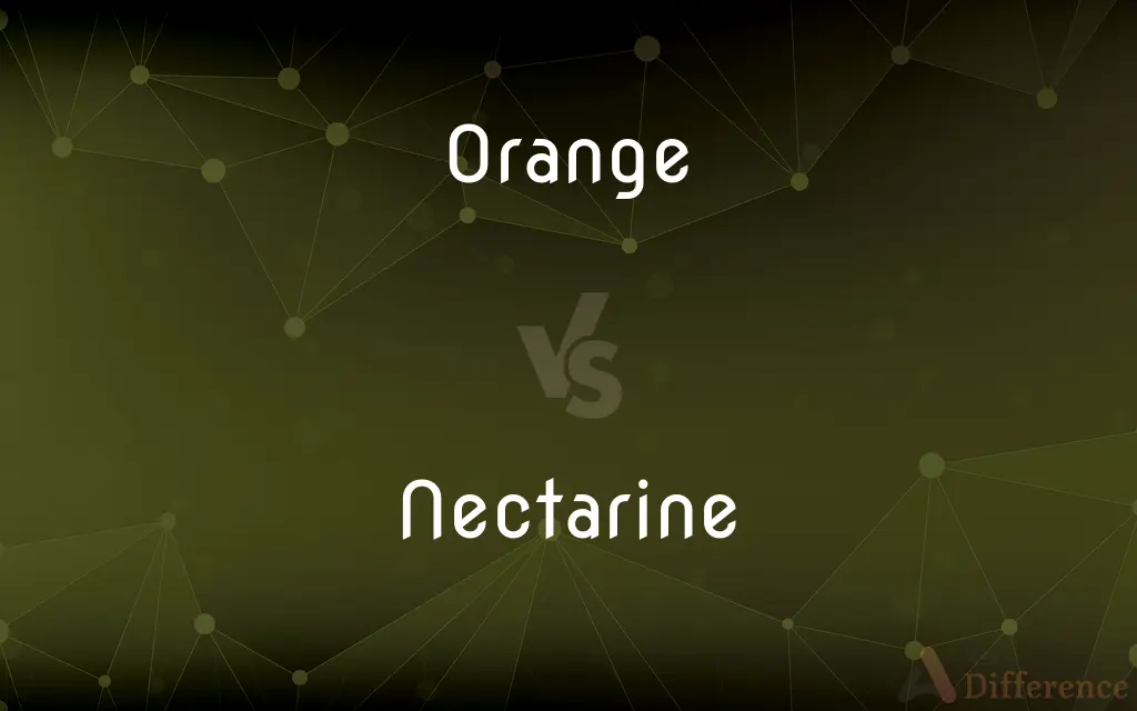Orange vs. Nectarine — What's the Difference?