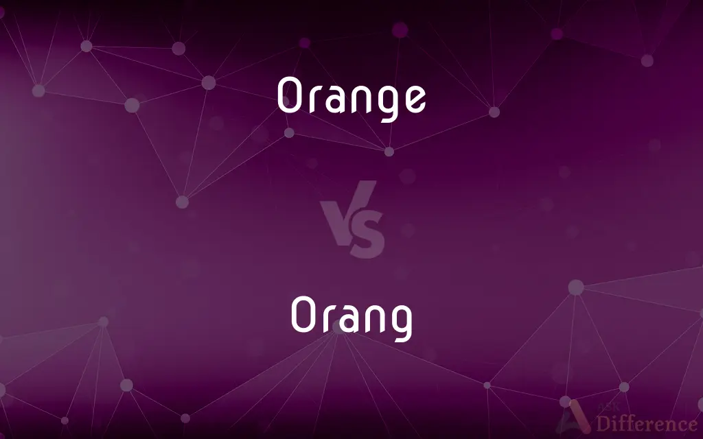 Orange vs. Orang — What's the Difference?