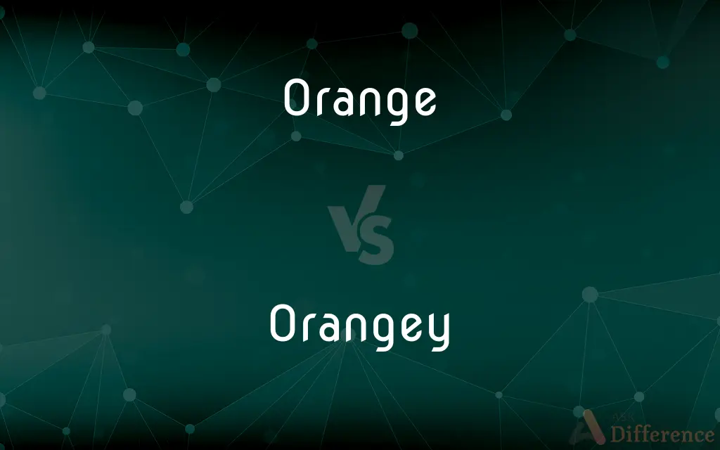 Orange vs. Orangey — What's the Difference?