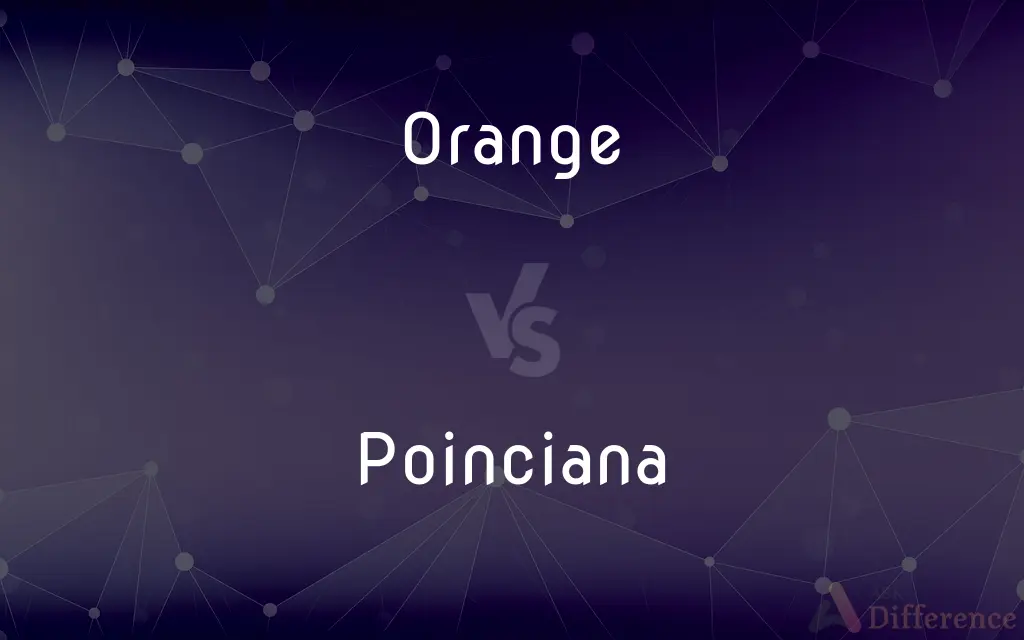 Orange vs. Poinciana — What's the Difference?
