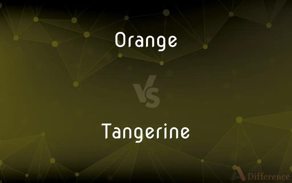Orange vs. Tangerine — What's the Difference?