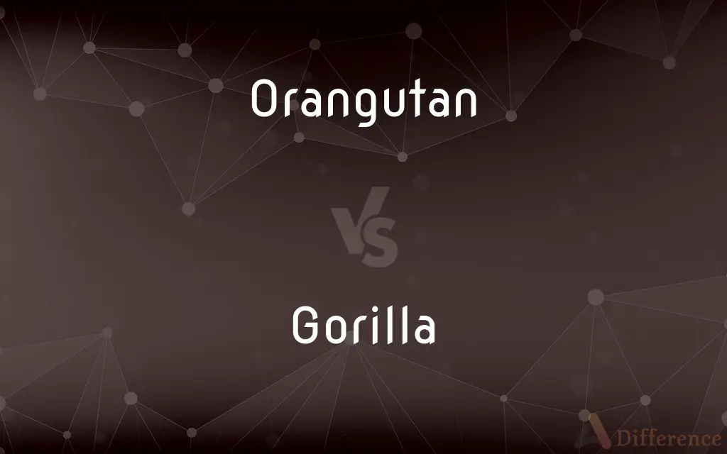 Orangutan vs. Gorilla — What's the Difference?