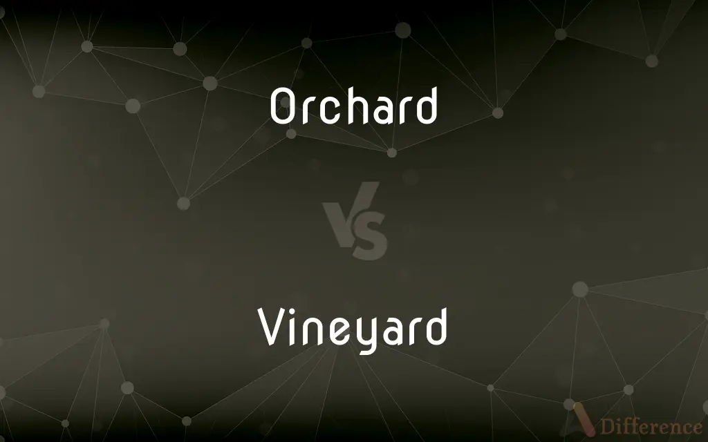 Orchard vs. Vineyard — What's the Difference?