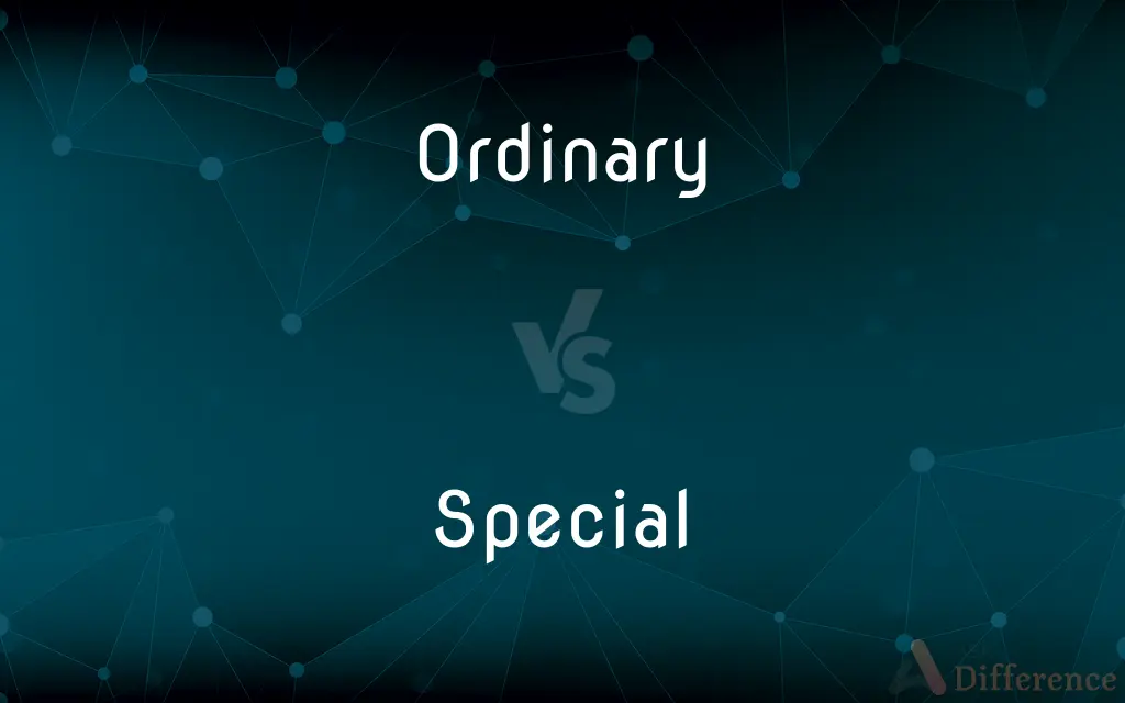 Ordinary vs. Special — What's the Difference?